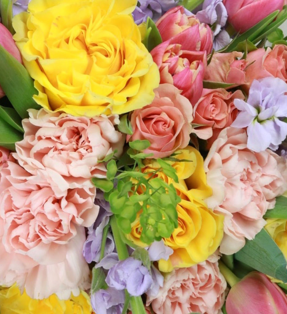 Spring & Summer