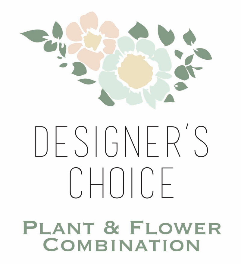 Designer's Choice Plant & Flower Combo