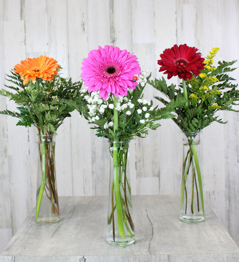 Assorted Gerbera Budvases