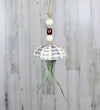 Air Plant