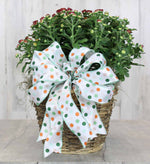 Assorted Fall Mums