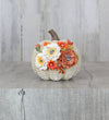 Fall Pumpkin
